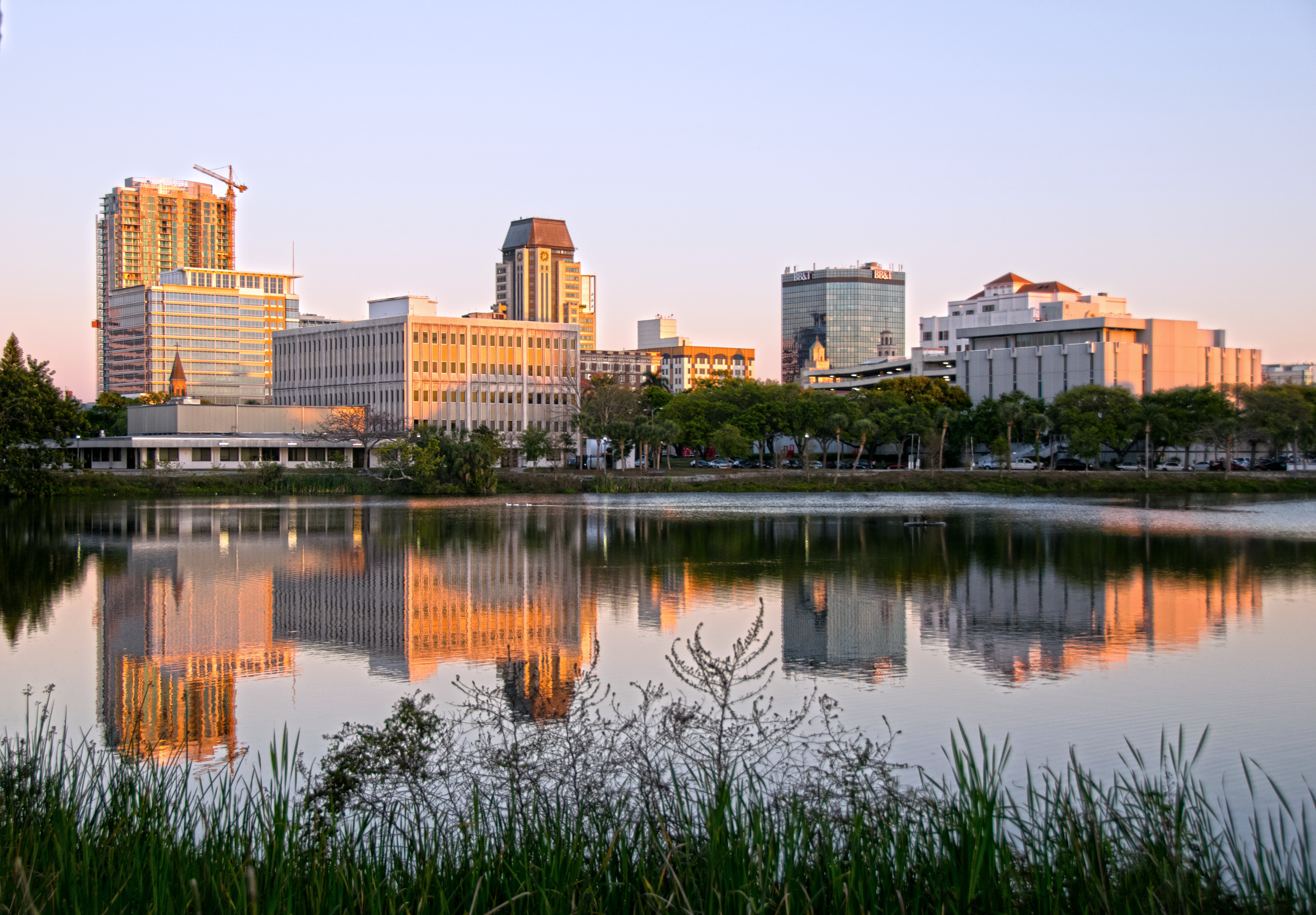 Tampa cityscape